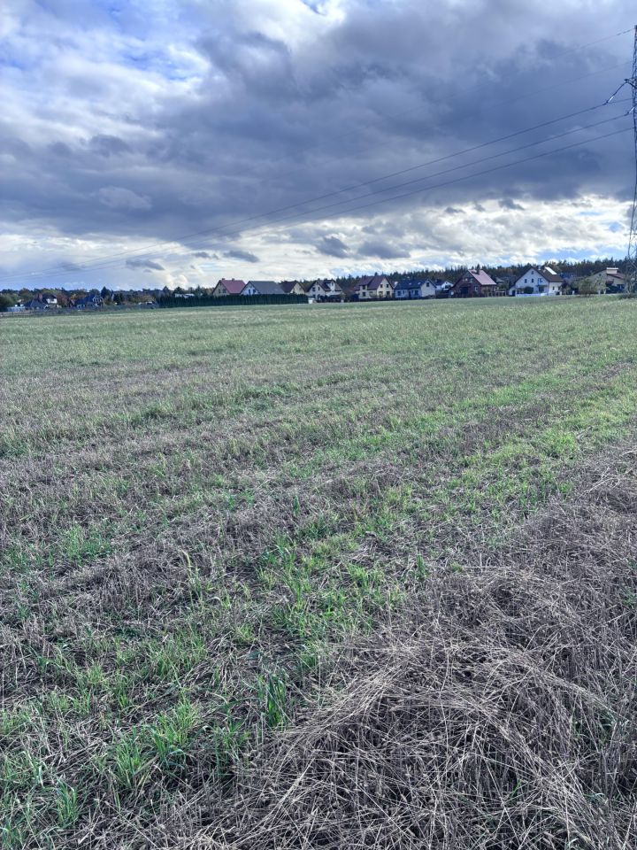 Działka rolna Kazimierz Biskupi, ul. Bielawy. Zdjęcie 8