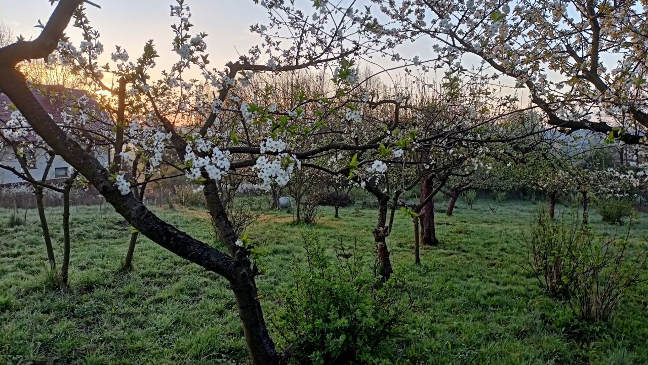 Działka budowlana Ruda, ul. Widok. Zdjęcie 5