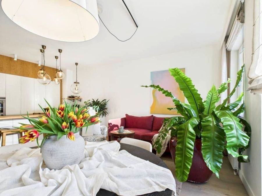 Mieszkanie 4-pokojowe Sopot, ul. 23 Marca. Zdjęcie 14