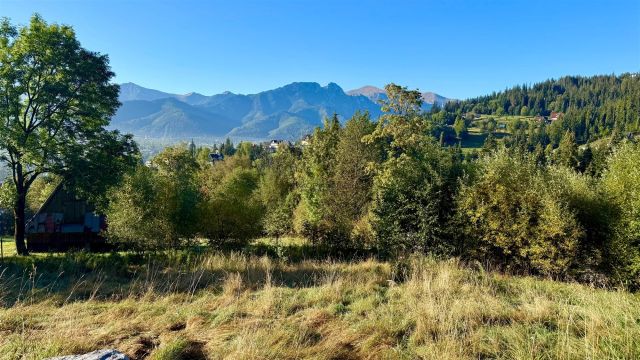 Działka inwestycyjna Zakopane. Zdjęcie 1