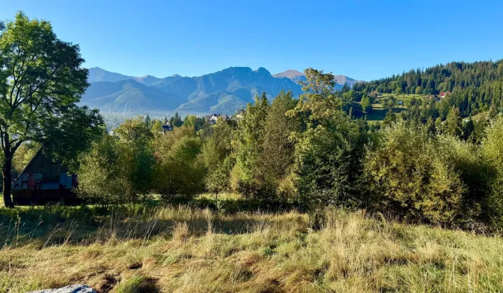 Działka inwestycyjna Zakopane