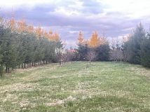 Działka budowlana Całowanie. Zdjęcie 3