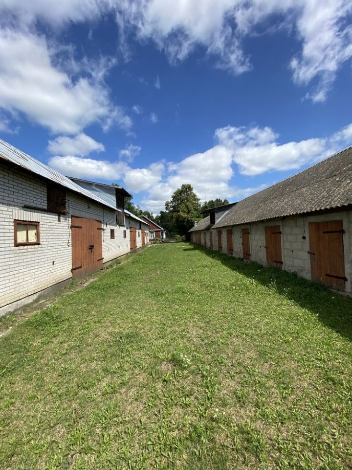 siedlisko Grymiaczki. Zdjęcie 4