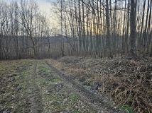 Działka rolno-budowlana Kraczkowa Działy Zachodnie. Zdjęcie 2