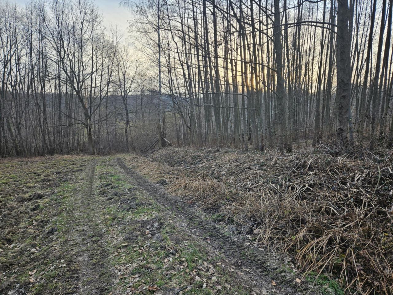 Działka rolno-budowlana Kraczkowa Działy Zachodnie. Zdjęcie 3
