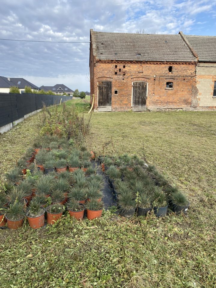 Działka budowlana Drożki. Zdjęcie 4