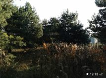 Działka budowlana Masłów, ul. Sosnowa. Zdjęcie 4