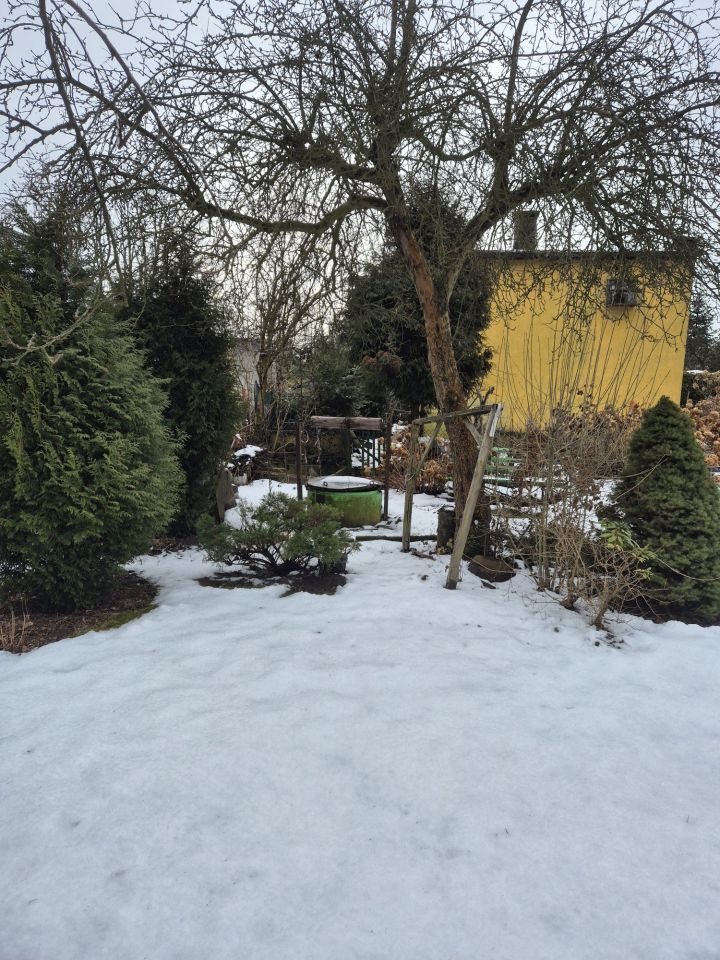 Działka rod Mikołów Centrum. Zdjęcie 4