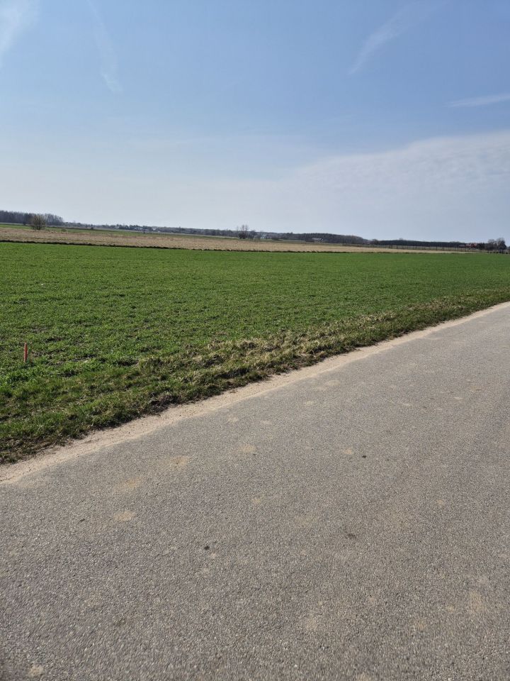 Działka budowlana Wola Bachorska. Zdjęcie 3