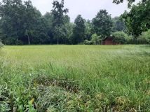 Działka budowlana Wądołki-Bućki. Zdjęcie 1