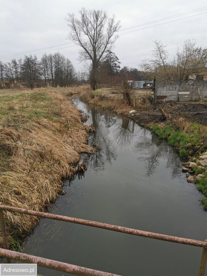Nieruchomość komercyjna Chojna, ul. Krupin. Zdjęcie 5