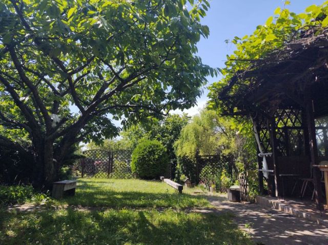 Działka rod Gdańsk Jasień, al. Aleja Pawła Adamowicza. Zdjęcie 1