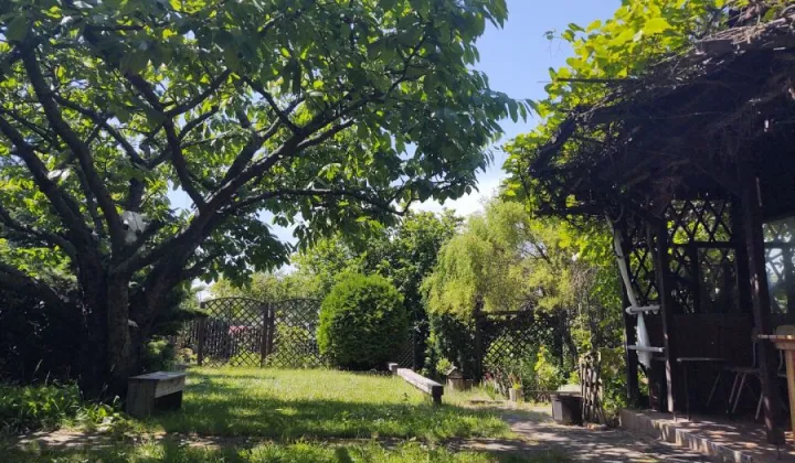 Działka rod Gdańsk Jasień, ul. Stolema