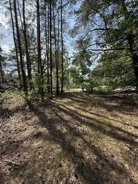 Działka rolna Karwice W Lesie. Zdjęcie 4