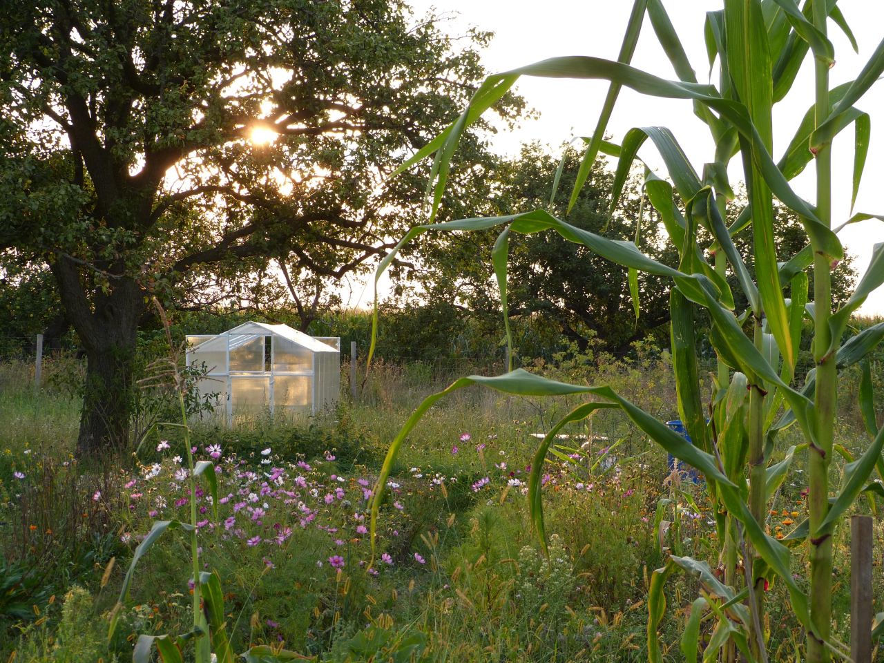 siedlisko, 4 pokoje Kikół-Wieś, Kikół-Wieś. Zdjęcie 15