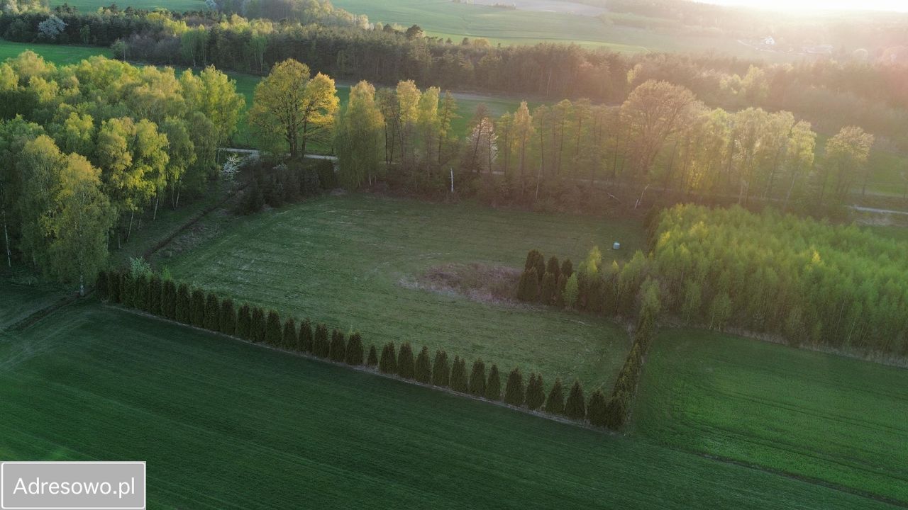 Działka budowlana Czernikowice. Zdjęcie 11