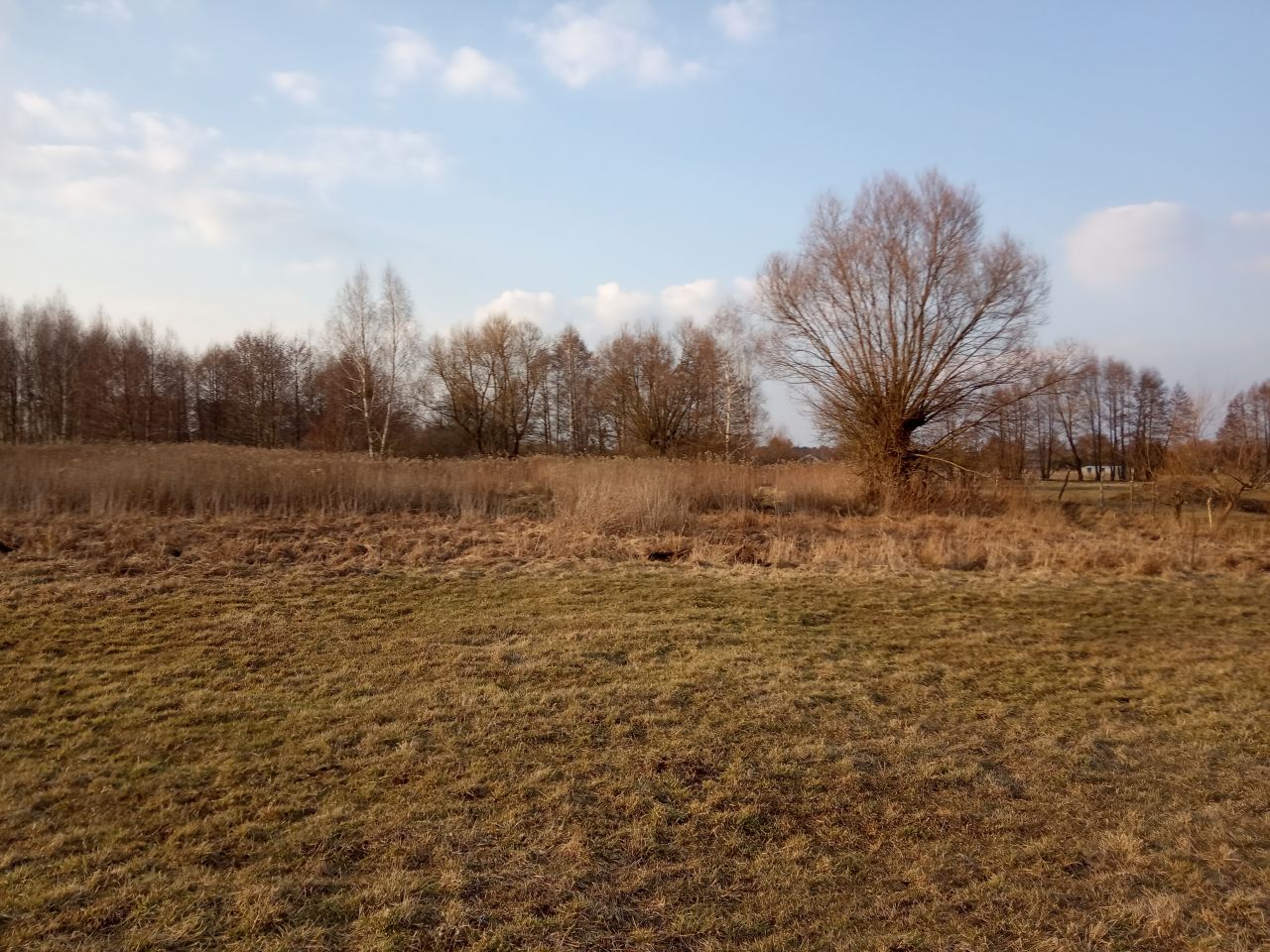 Działka rolno-budowlana Stare Polesie. Zdjęcie 3