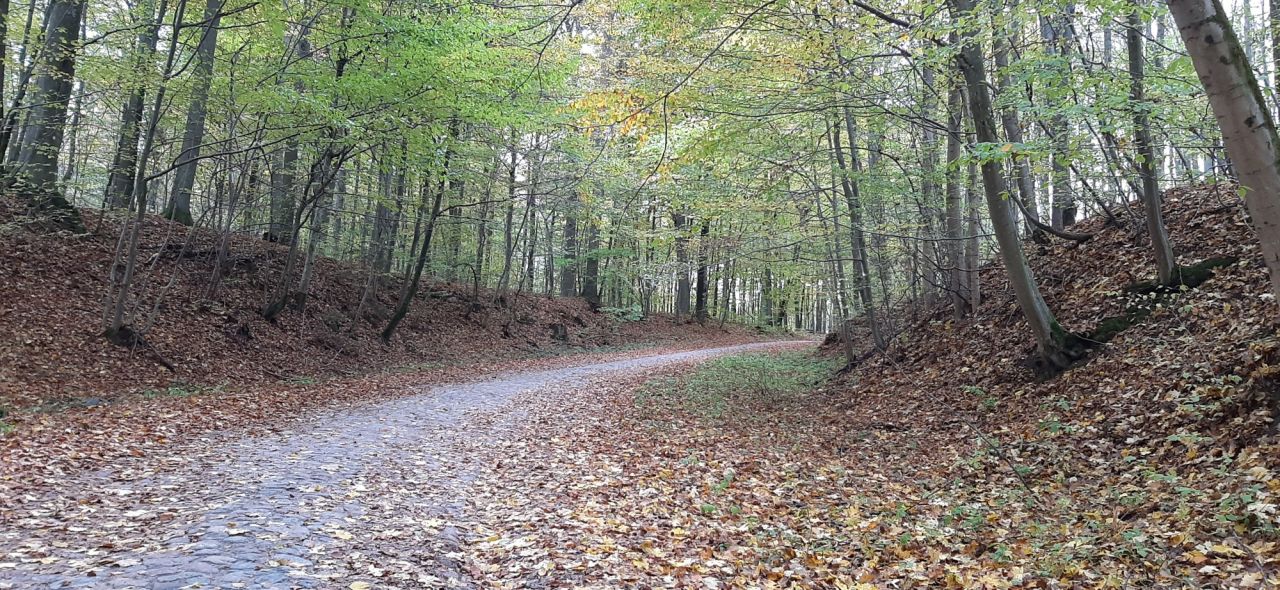 Działka rolno-budowlana Warkałki. Zdjęcie 11