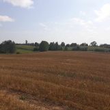 Działka rolno-budowlana Bałamutowo. Zdjęcie 1