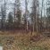 Działka Duchnów, ul. Gajowa. Zdjęcie 1