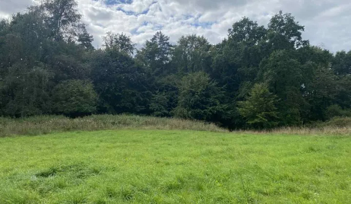 Działka rolna Kołowo