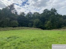 Działka rolna Kołowo