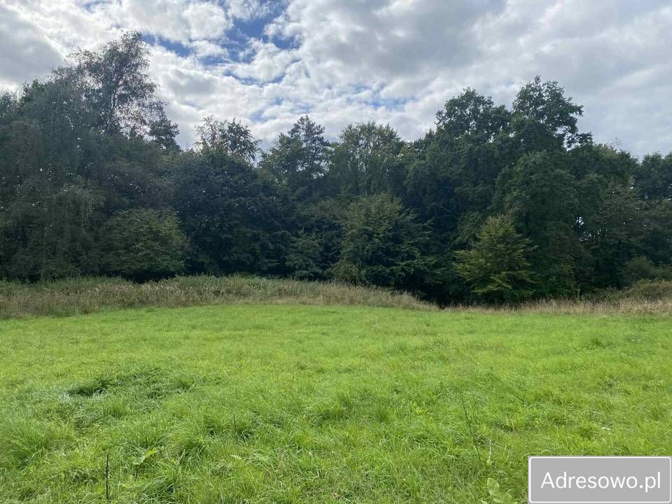 Działka rolna Kołowo
