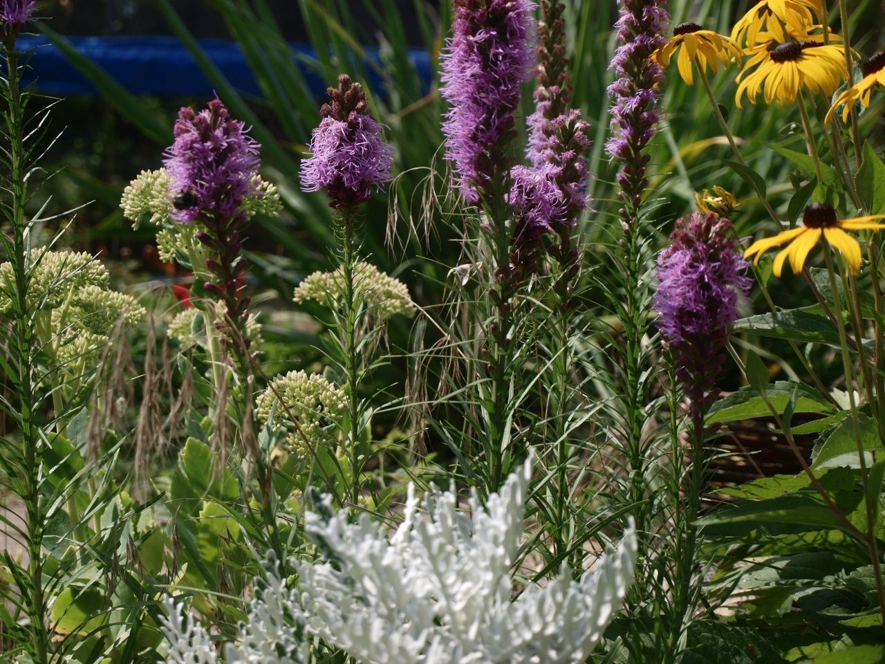 Działka rod Częstochowa Północ. Zdjęcie 4