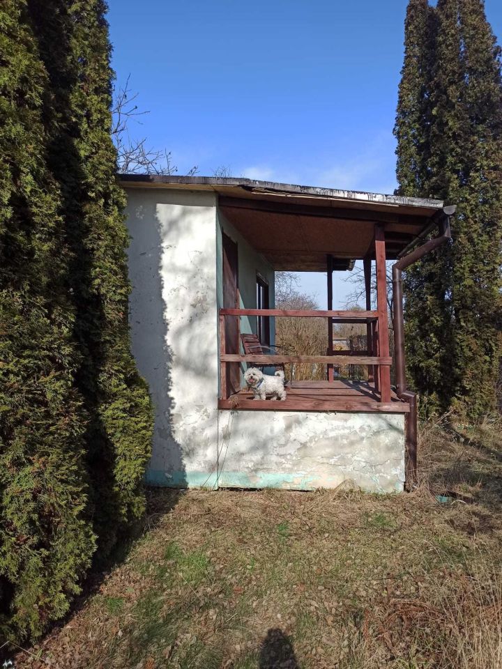 Działka rod Gliwice Stare Gliwice. Zdjęcie 7