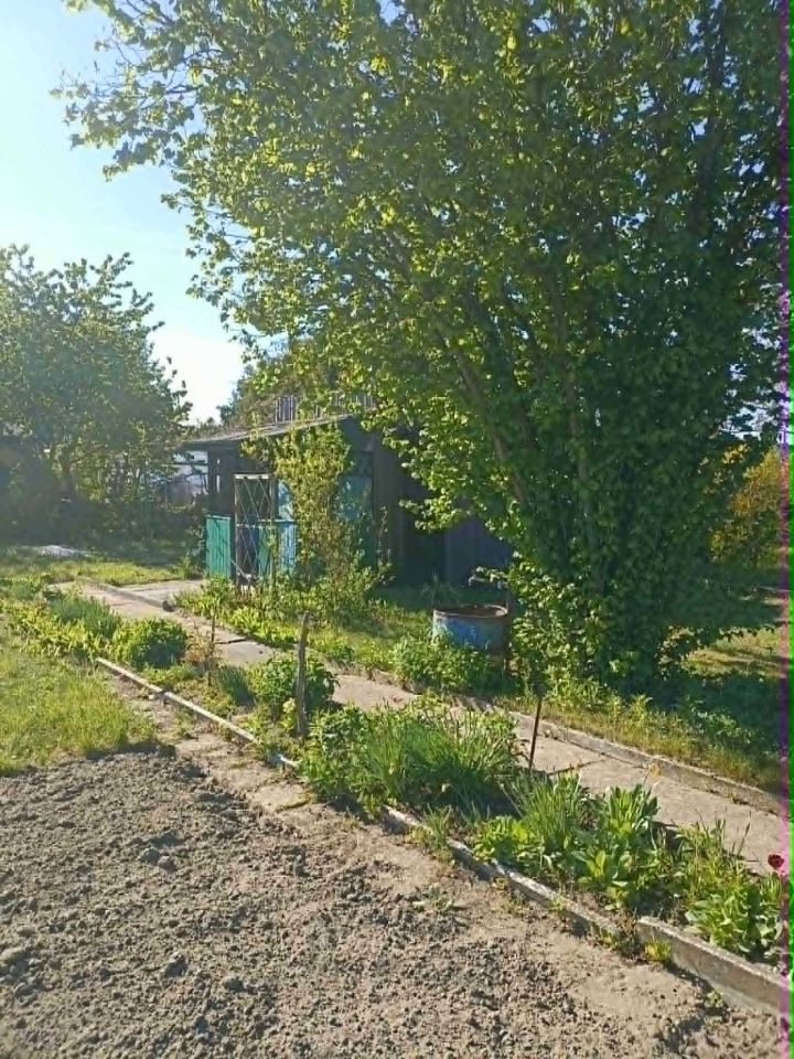 Działka rod Ciechanów. Zdjęcie 3