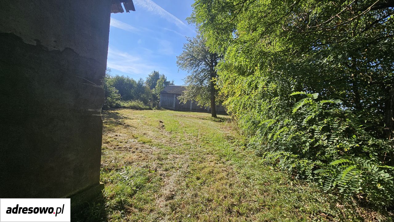 Działka siedliskowa Wola Kuźniewska. Zdjęcie 8