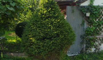 Działka rekreacyjna Stargard, ul. Michała Drzymały