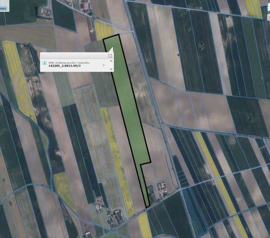 Działka rolna Żbiki. Zdjęcie 1