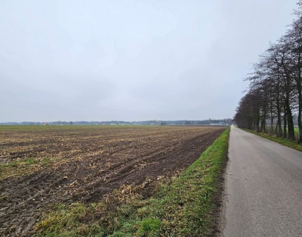 Działka rolno-budowlana Budziska. Zdjęcie 1