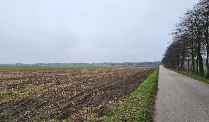 Działka rolno-budowlana Budziska