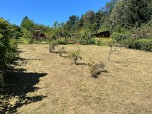 Działka rekreacyjna Nowy Sącz, ul. Botaniczna. Zdjęcie 4