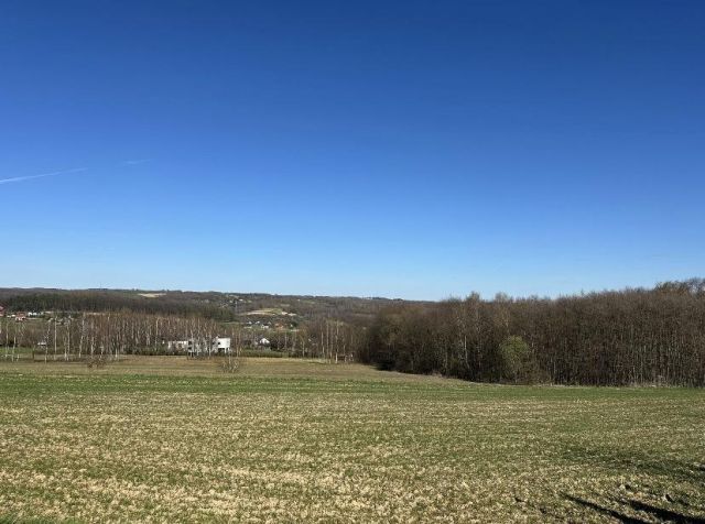 Działka rolno-budowlana Chmielnik. Zdjęcie 1