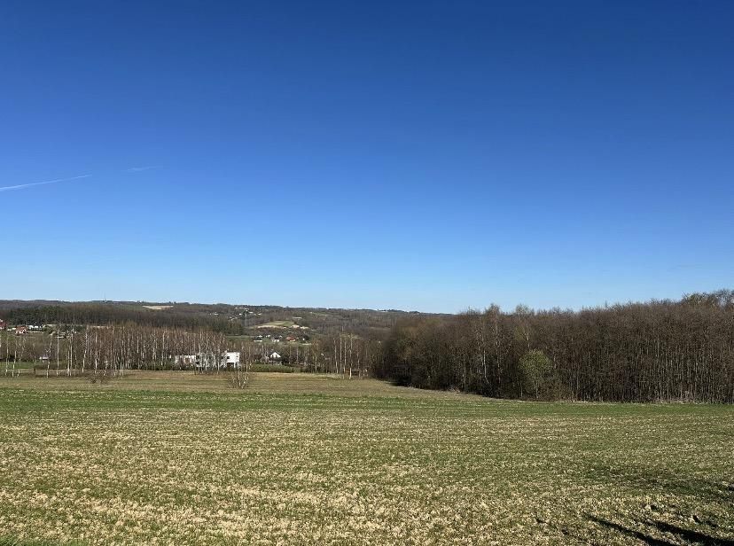 Działka rolno-budowlana Chmielnik. Zdjęcie 1