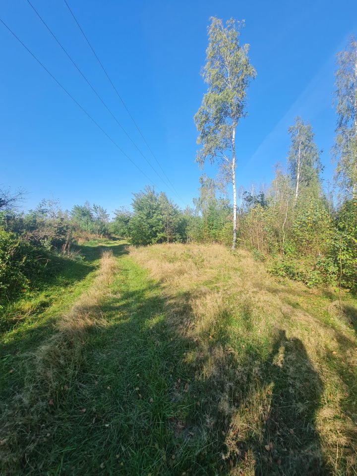 Działka rolno-budowlana Sworzyce. Zdjęcie 4