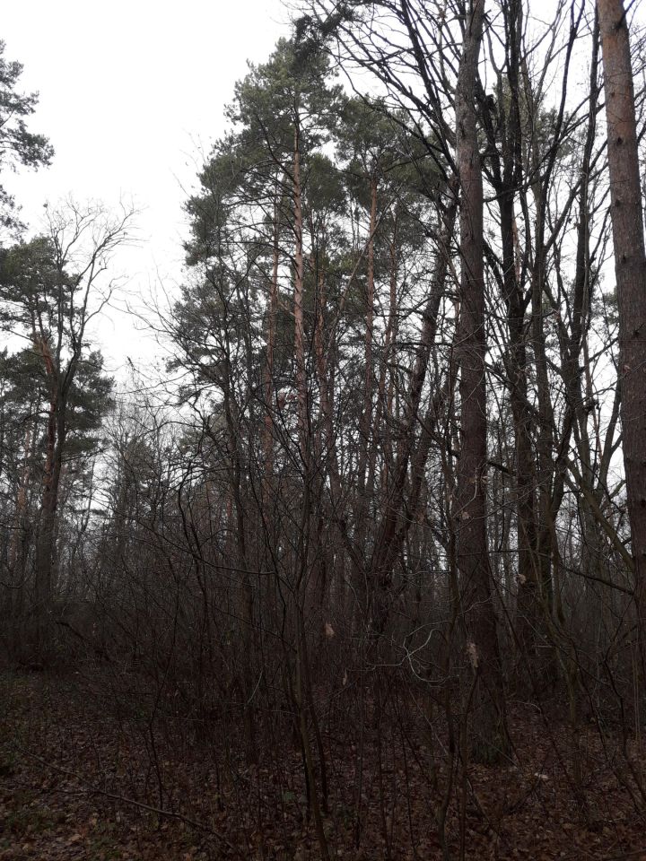 Działka inna Stare Załucze. Zdjęcie 19