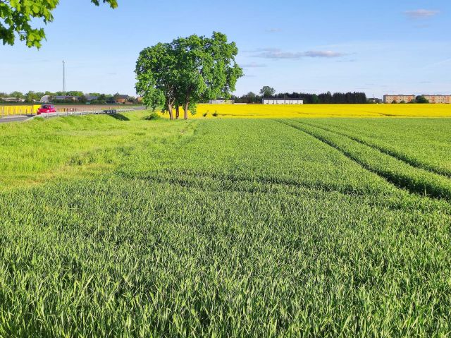 Działka budowlana Lipka. Zdjęcie 1