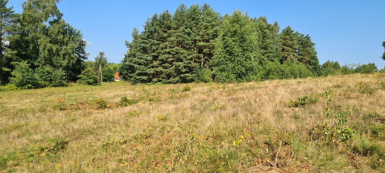 Działka rolno-budowlana Bobrownik. Zdjęcie 2