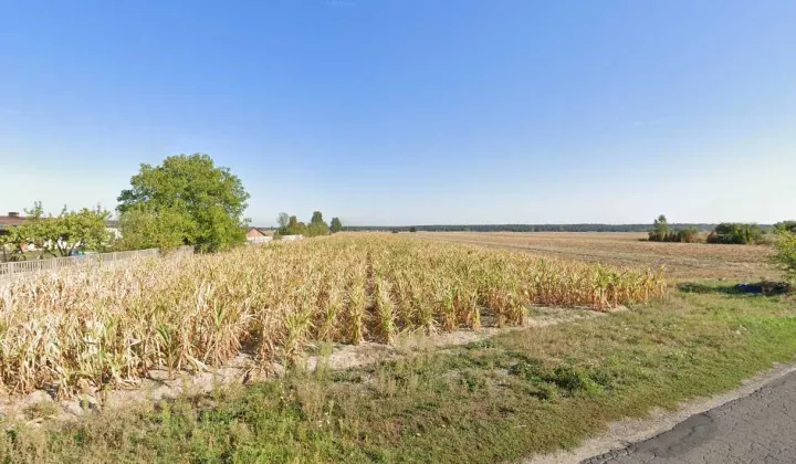 Działka rolno-budowlana Łazisko