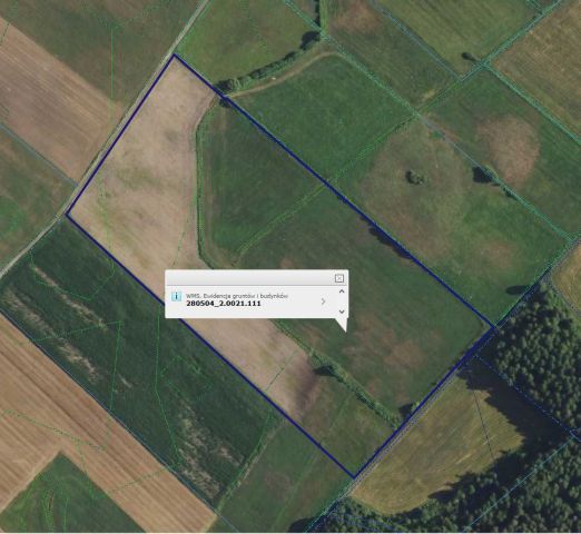 Działka rolna Kurzątki. Zdjęcie 1