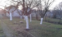 Działka rod Wilkanowo. Zdjęcie 2