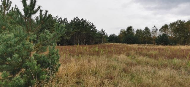 Działka budowlana Kolonia Łobudzice, ul. Patyki. Zdjęcie 1