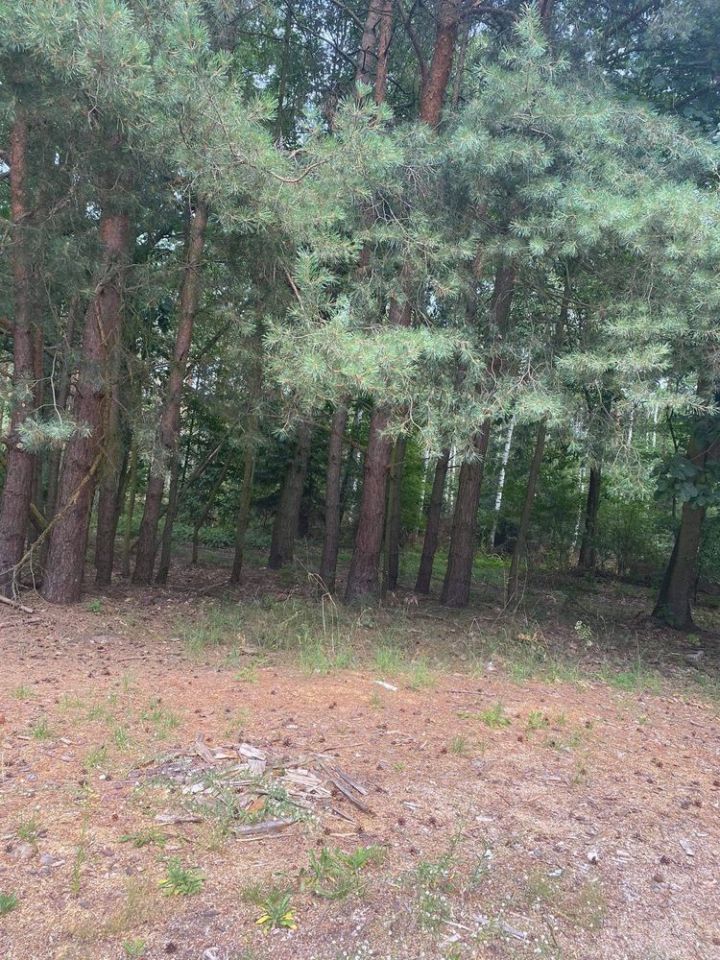 Działka rolno-budowlana Lubcz Wielki. Zdjęcie 2