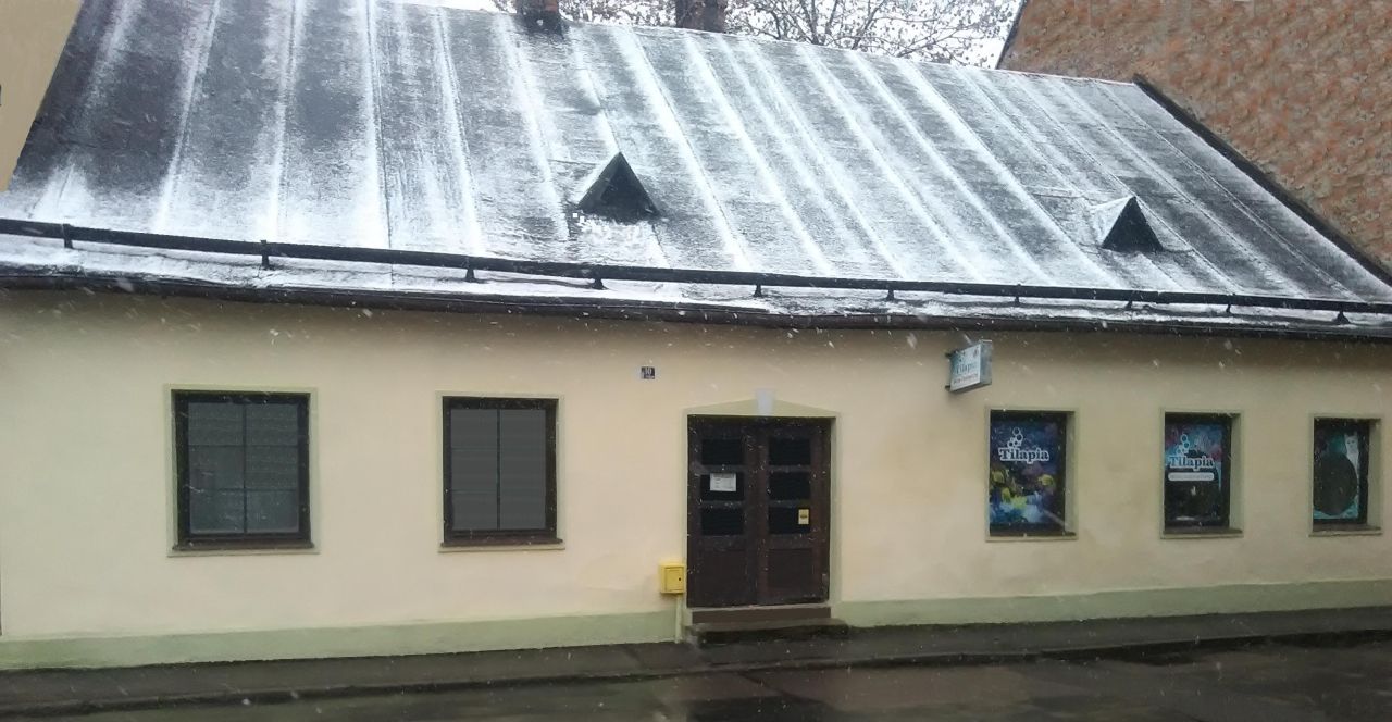 Lokal Bielsko-Biała Śródmieście, ul. Szkolna