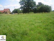 Działka budowlana Wielochowo. Zdjęcie 4