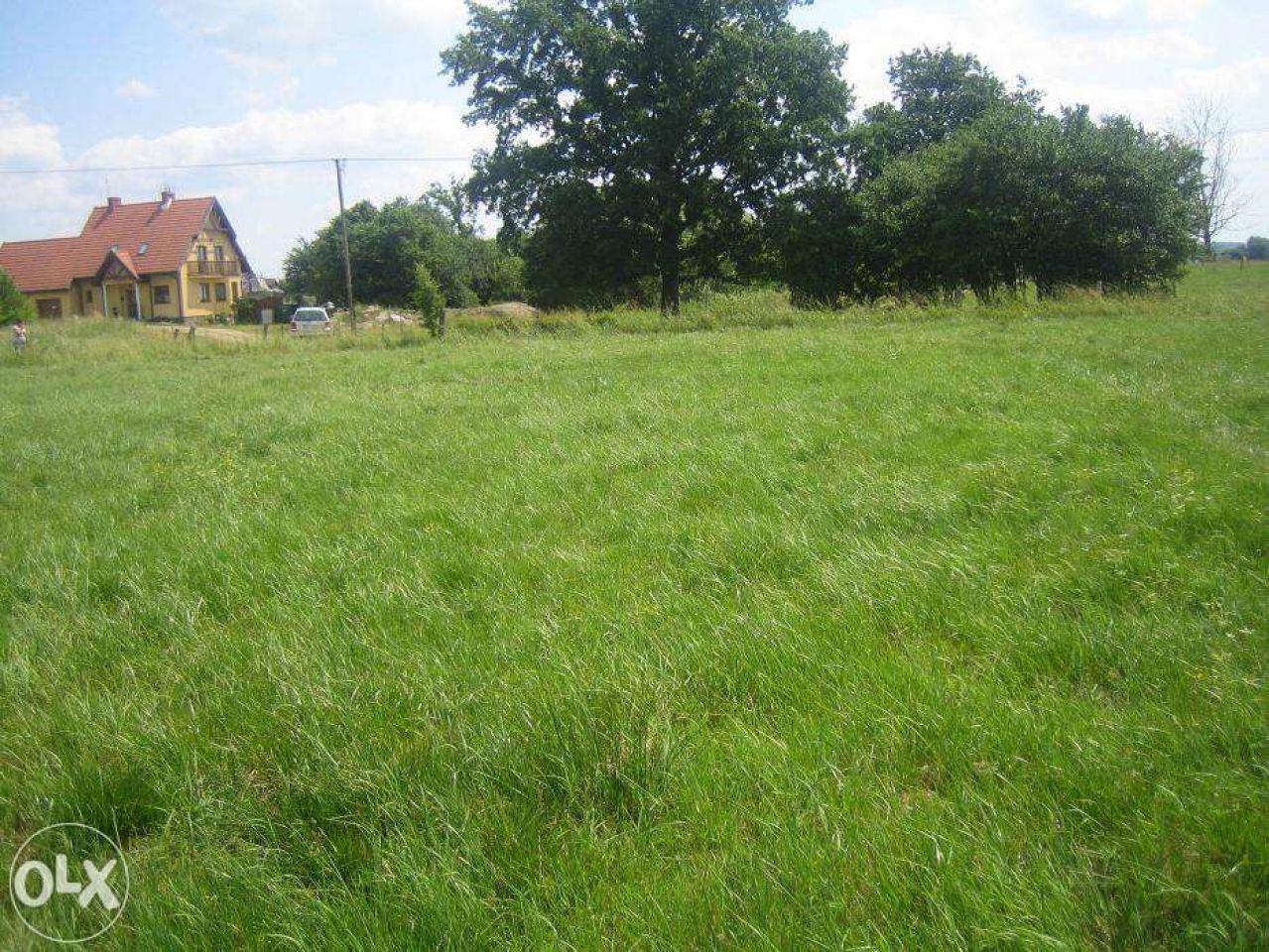 Działka budowlana Wielochowo. Zdjęcie 5